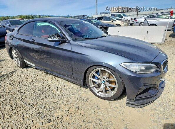 WBA2G1C36HV639320 2017 BMW MOTORRAD M240I Gray Widok z przodu