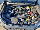 2026 Subaru Forester Wilderness Black vin: 4S4SLDL6XT3058980