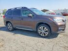 2019 Subaru Ascent Limited Brown vin: 4S4WMAMD4K3438499