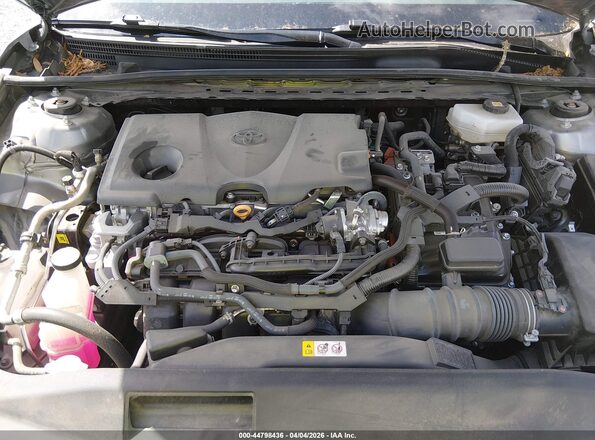 4T1DAACK2SU515770 2025 TOYOTA CAMRY Gray Widok z tyłu