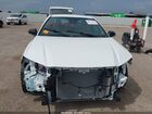 2026 Toyota Camry Nightshade White vin: 4T1DAACK7TU671482