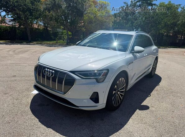 WA1VAAGE9KB023322 2019 AUDI E-TRON Белый Задняя правая четверть