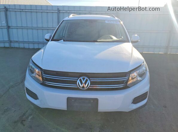 WVGAV7AX3GW596363 2016 VOLKSWAGEN TIGUAN White Widok z tyłu