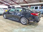 2017 Hyundai Sonata Sport Черный vin: 5NPE34AF5HH506073