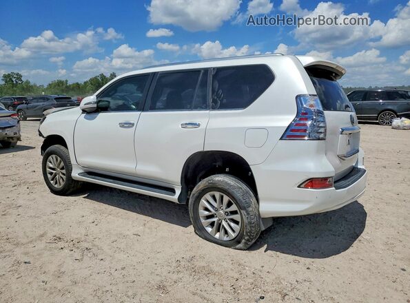 JTJAM7BX7P5356015 2023 LEXUS GX Белый Задняя правая четверть