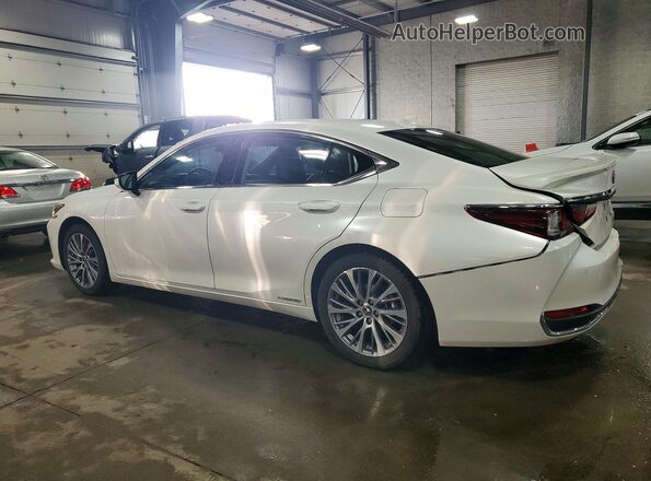 58AD21B19LU007828 2020 LEXUS ES White Trasero izquierdo