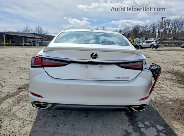 58ADZ1B12LU076324 2020 LEXUS ES White Widok z tyłu