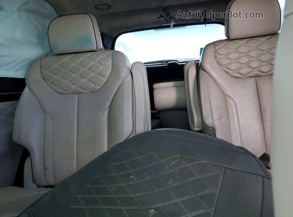 KM8R54HEXLU120672 2020 HYUNDAI PALISADE Черный Вид задней части салона
