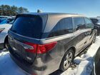 2019 Honda Odyssey Ex Gray vin: 5FNRL6H52KB131968