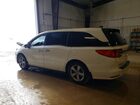 2019 Honda Odyssey Ex White vin: 5FNRL6H58KB039277