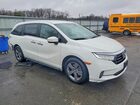 2021 Honda Odyssey Ex White vin: 5FNRL6H5XMB044161