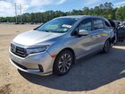 2024 Honda Odyssey Exl Gray vin: 5FNRL6H60RB040121