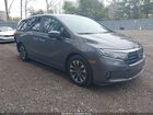 2024 Honda Odyssey Ex-l Gray vin: 5FNRL6H63RB075848