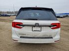 2024 Honda Odyssey Exl Белый vin: 5FNRL6H64RB073199