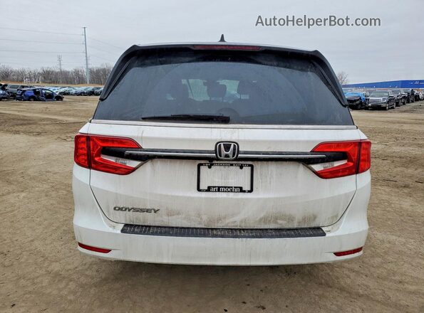5FNRL6H64RB073199 2024 HONDA ODYSSEY Белый Вид сзади