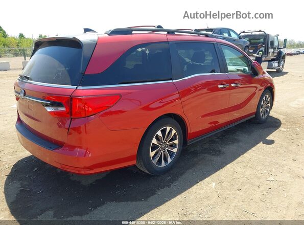 5FNRL6H65PB068235 2023 HONDA ODYSSEY Темно-бордовый Задняя правая четверть