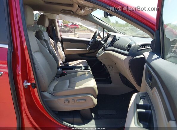 5FNRL6H65PB068235 2023 HONDA ODYSSEY Темно-бордовый Вид салона спереди