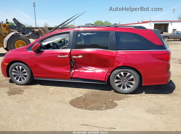 5FNRL6H65PB068235 2023 HONDA ODYSSEY Темно-бордовый Панорамный вид салона 360°