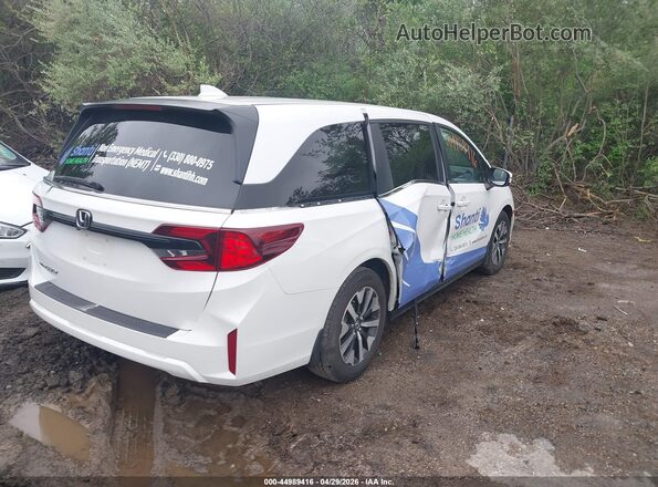 5FNRL6H67SB001175 2025 HONDA ODYSSEY Белый Задняя правая четверть