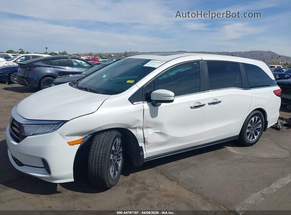 5FNRL6H6XPB073205 2023 HONDA ODYSSEY White Вид спереду