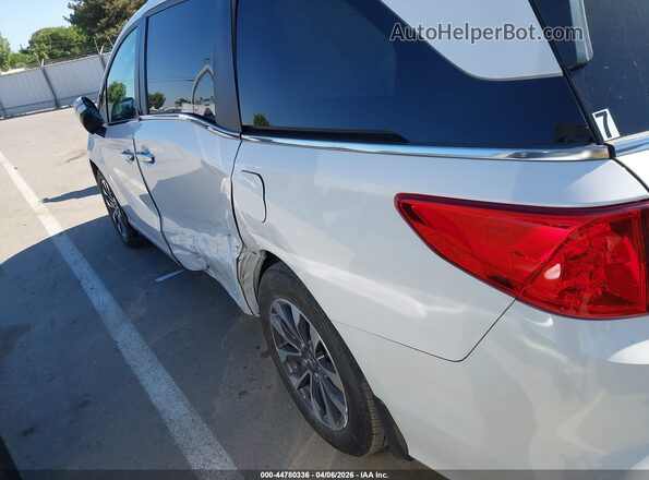 5FNRL6H6XRB069223 2024 HONDA ODYSSEY Белый Вид спереди