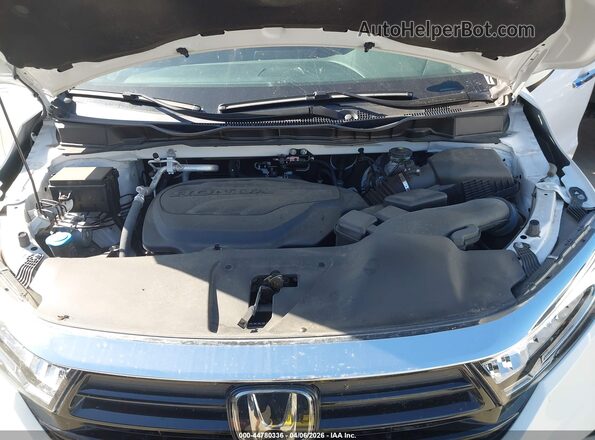 5FNRL6H6XRB069223 2024 HONDA ODYSSEY Белый Вид сзади