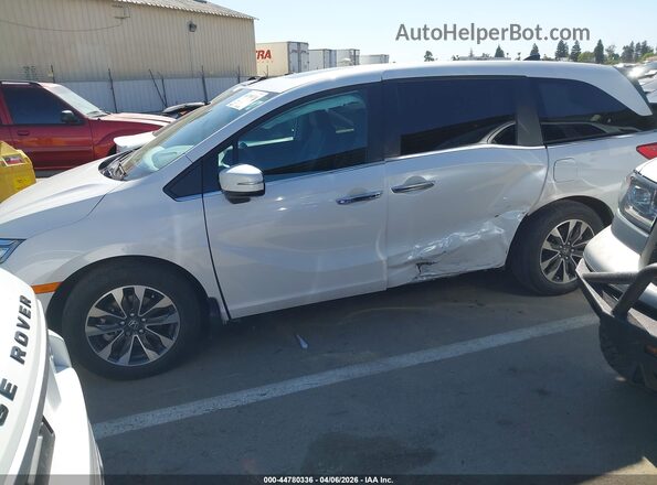 5FNRL6H6XRB069223 2024 HONDA ODYSSEY Белый 