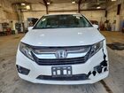2019 Honda Odyssey Exl White vin: 5FNRL6H72KB097435