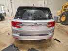 2019 Honda Odyssey Exl Gray vin: 5FNRL6H73KB104439