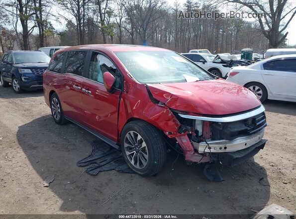 5FNRL6H75NB036309 2022 HONDA ODYSSEY Красный Передняя правая четверть