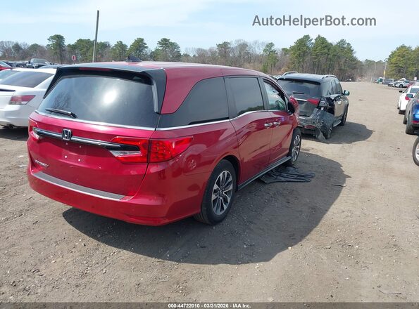 5FNRL6H75NB036309 2022 HONDA ODYSSEY Красный Задняя правая четверть