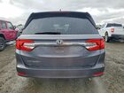 2019 Honda Odyssey Exl Gray vin: 5FNRL6H76KB014864