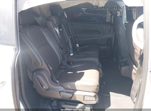 5FNRL6H76KB068455 2019 HONDA ODYSSEY Gray Vista de la etiqueta del VIN