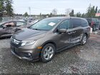2018 Honda Odyssey Ex-l Brown vin: 5FNRL6H77JB094495