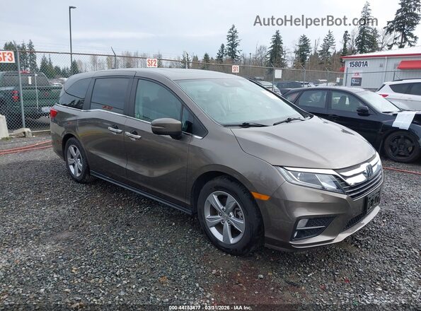 5FNRL6H77JB094495 2018 HONDA ODYSSEY Brown Przód prawy