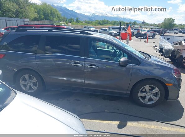 5FNRL6H78LB006251 2020 HONDA ODYSSEY Серый Вид задней части салона