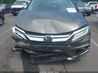 2018 Honda Odyssey Elite Gray vin: 5FNRL6H93JB008407