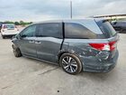 2018 Honda Odyssey Elite Gray vin: 5FNRL6H93JB060748