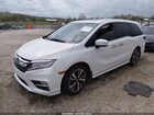 2020 Honda Odyssey Elite Белый vin: 5FNRL6H97LB005710
