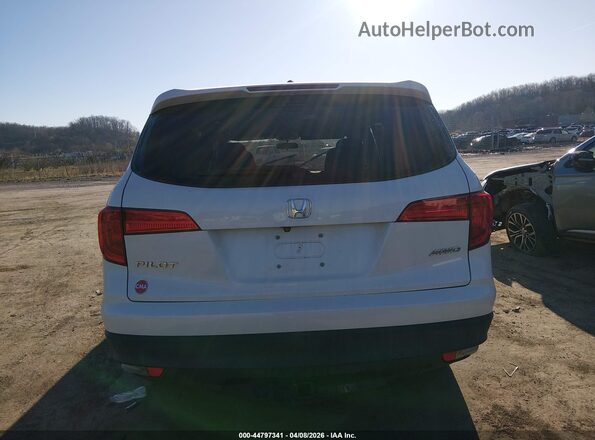 5FNYF6H3XHB044782 2017 HONDA PILOT Белый 