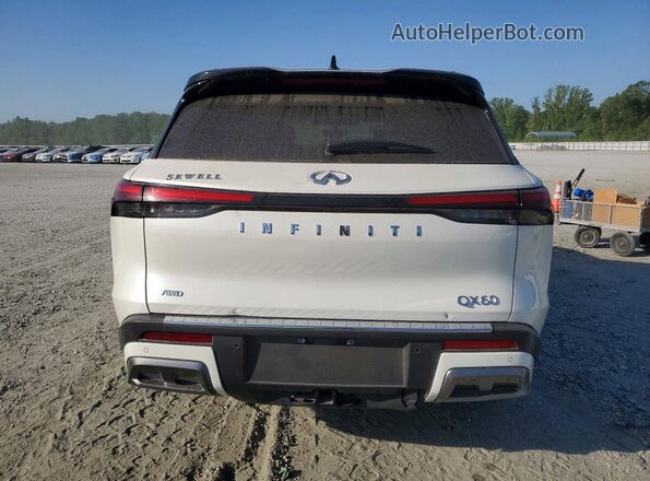 5N1AL1HU3SC346646 2025 INFINITI QX60 Белый Вид сзади