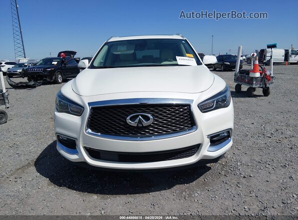 5N1DL0MN4LC541887 2020 INFINITI QX60 Белый Вид задней части салона