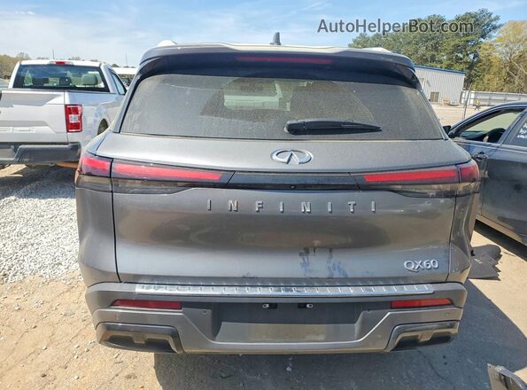 5N1DL1FR7PC360830 2023 INFINITI QX60 Gray Вид ззаду