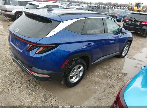 5NMJBCAE4PH174285 2023 HYUNDAI TUCSON Синий Задняя правая четверть