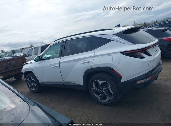 5NMJFCDE7RH373964 2024 HYUNDAI TUCSON White Widok wnętrza 360 stopni