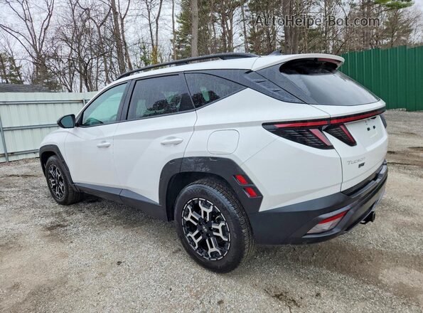 5NMJFCDEXSH601008 2025 HYUNDAI TUCSON Белый Задняя левая четверть