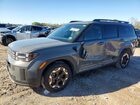 2024 Hyundai Santa Fe Sel Gray vin: 5NMP24GL3RH057323