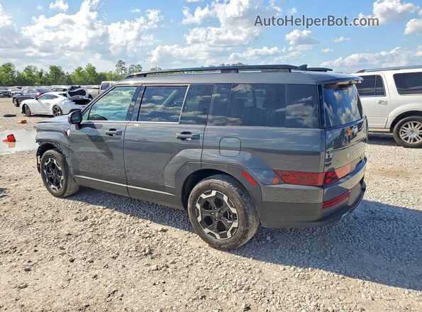 5NMP24GL3SH090196 2025 HYUNDAI SANTA Gray Tył lewy