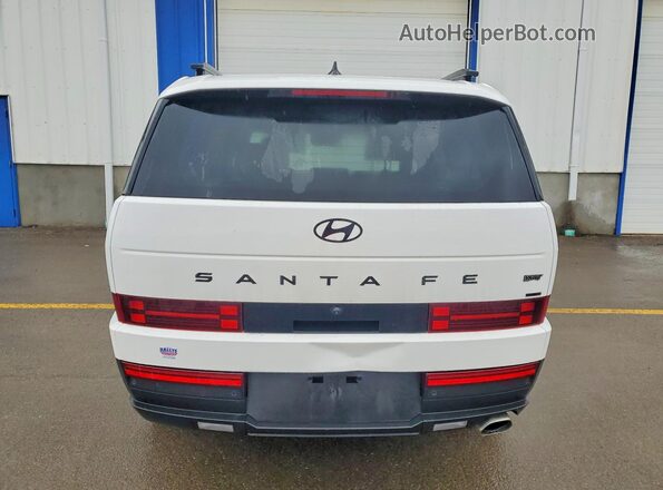 5NMP3DGL7SH081756 2025 HYUNDAI SANTA Белый Вид сзади