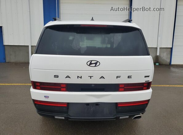 5NMP3DGL7SH081756 2025 HYUNDAI SANTA Белый 